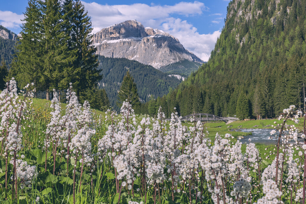 Primavera a Mazzin in Val di Fassa | © Patricia Ramirez - Archivio Immagini ApT Val di Fassa