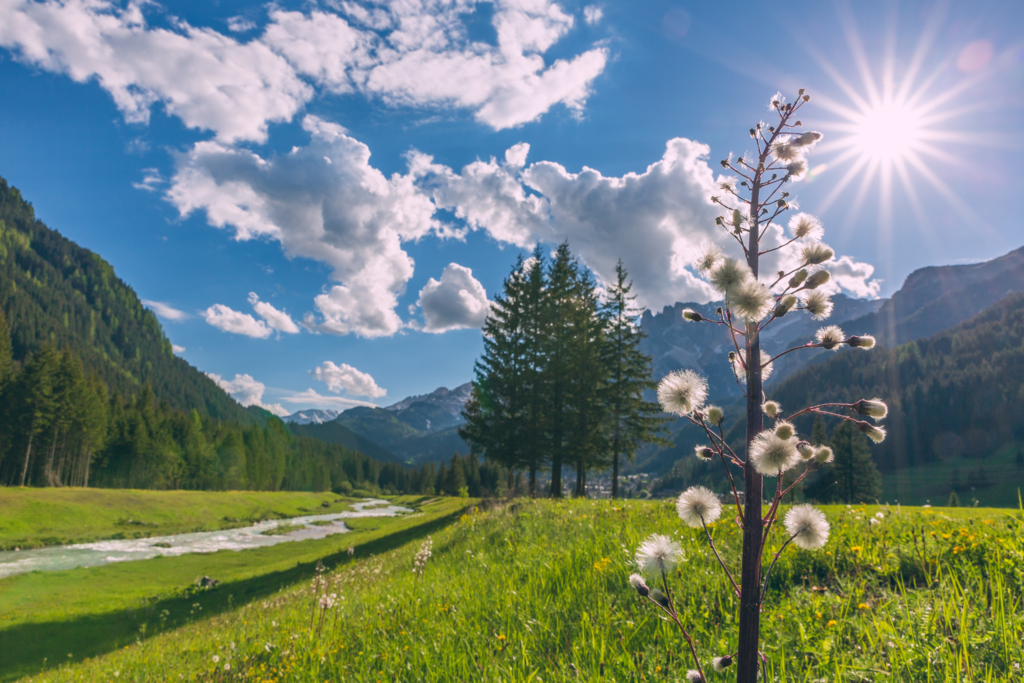 ApTValdiFassa 038 PATRICIA RAMIREZ 929