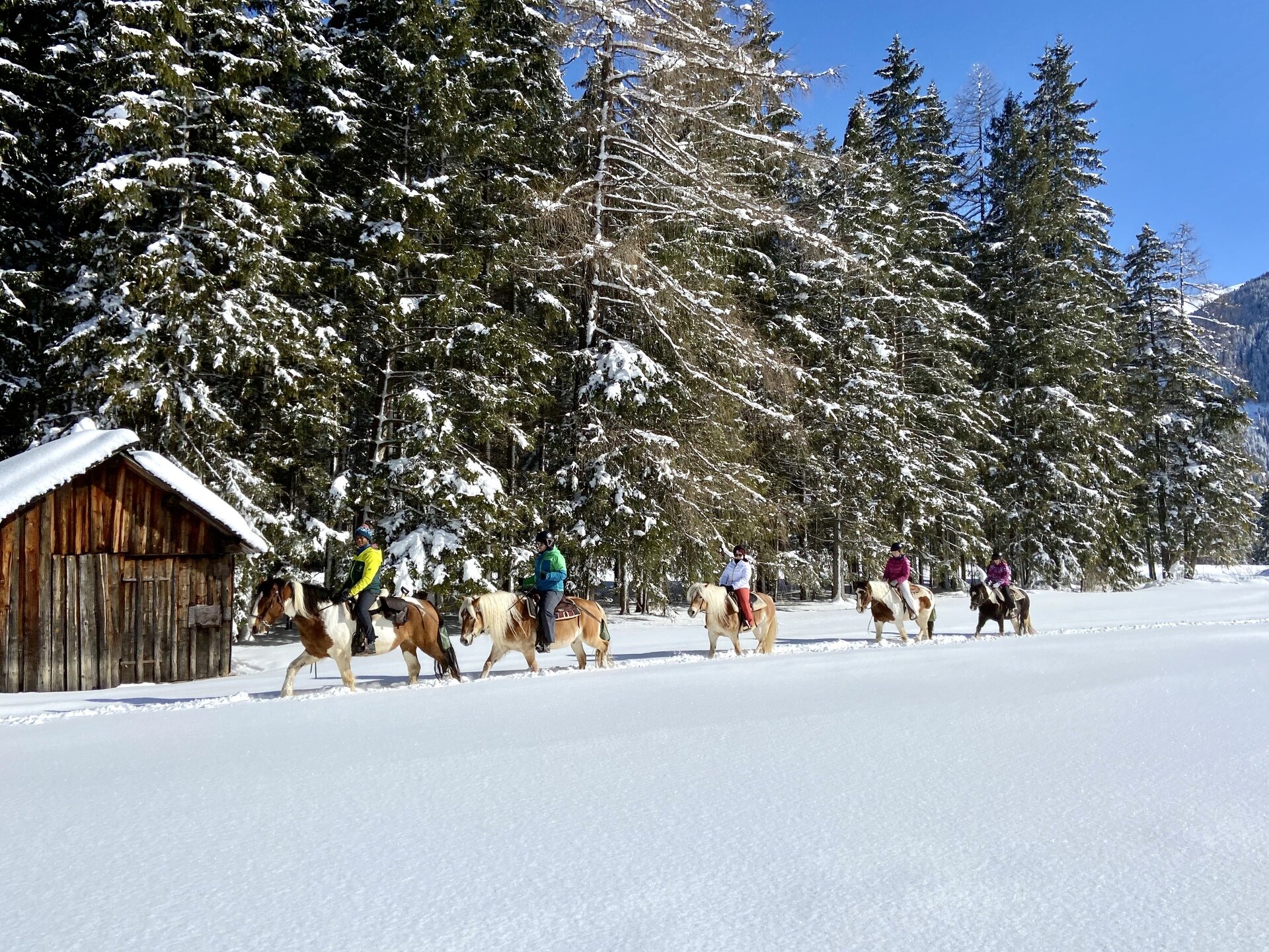 Charlotte Horse Riding